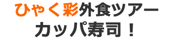 介護の事ならおまかせ！ウェルフェアプランニングへのアクセス